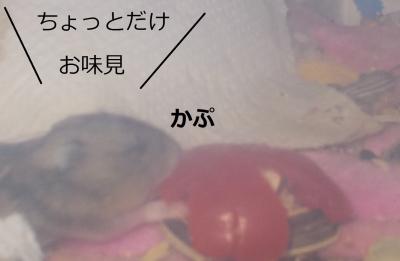 ｂａｂｙconvert_20130328085131