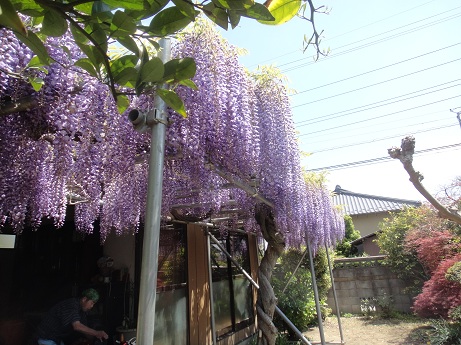 DSC01654.JPG