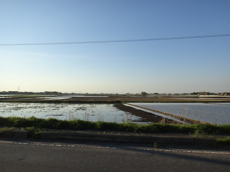 DSC01660.JPG
