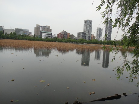 DSC01667.jpg