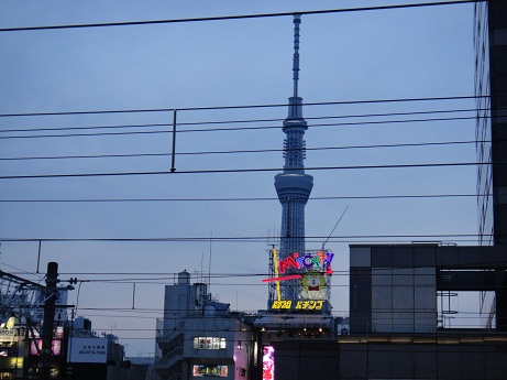 DSC01681.jpg