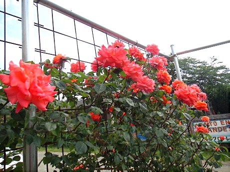 FSki07890.jpg