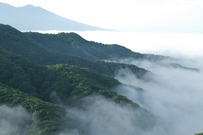 霧ヶ峰