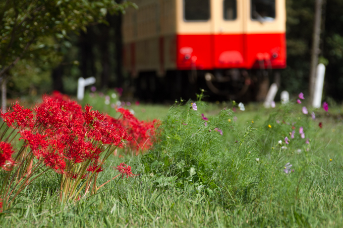小湊鉄道