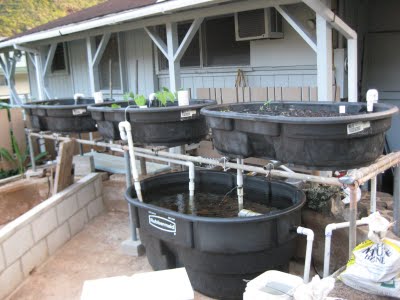 aquaponics grow bed the different designs grow aquaponics