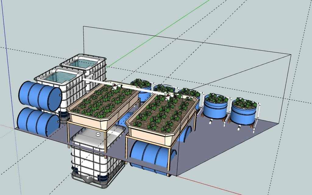 backyard aquaponics plans how to build your organic