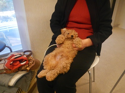DSCN5714.jpg