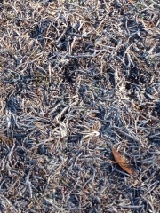2014011121042473b.jpg