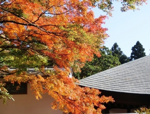箱根 長安寺