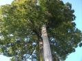 DSCF5024.jpg