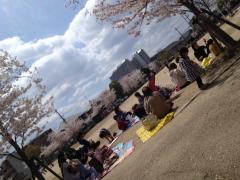 024_20130403231649.jpg