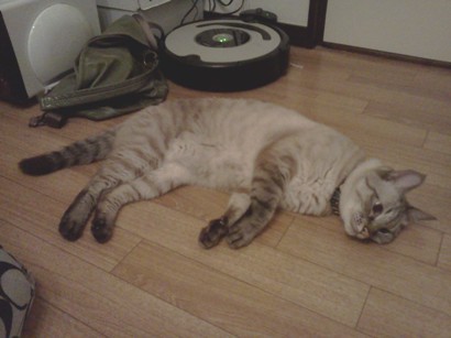 IMG00718.jpg