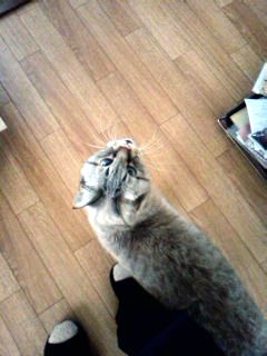 IMG01059.jpg