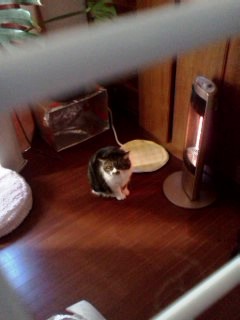 IMG01061.jpg