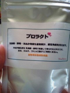 IMG01067.jpg