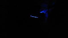 IMG_1200.jpg
