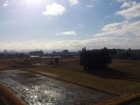 お散歩道