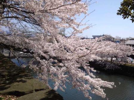 mini_130408_1355.jpg