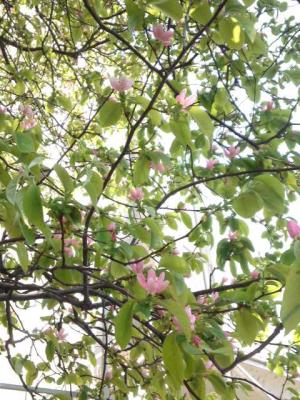 mini_130409_1102.jpg