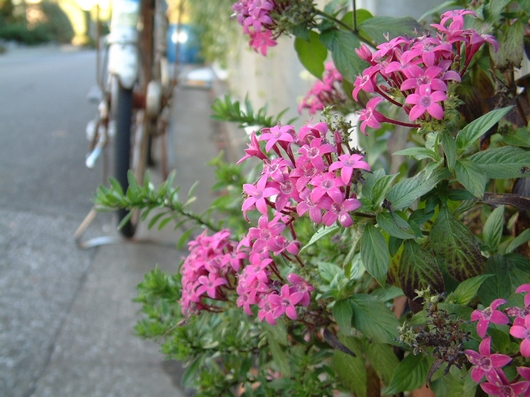 DSCF0002.jpg