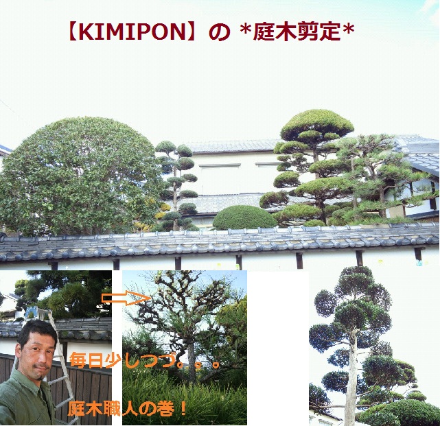 KIMIPON剪定TOP