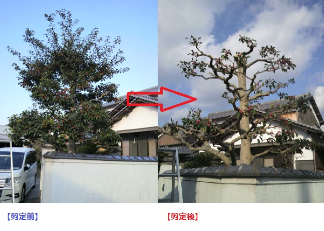 kurogane20121209.jpg