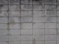 wall2.jpg