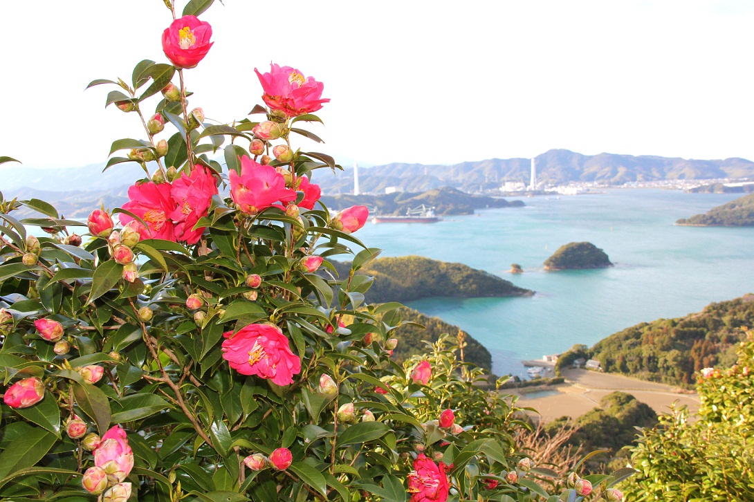 徳島県名古屋事務所 とくしま花のある風景フォトコンテストパネル展 を開催します