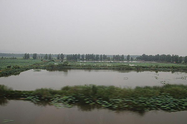 2012shanghai-331.jpg