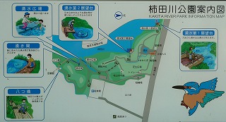 8_5柿田川公園