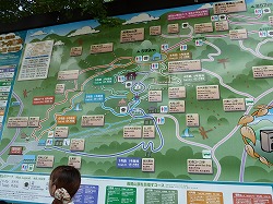 8_12高尾山