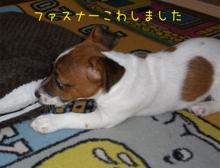 20130519d.jpg