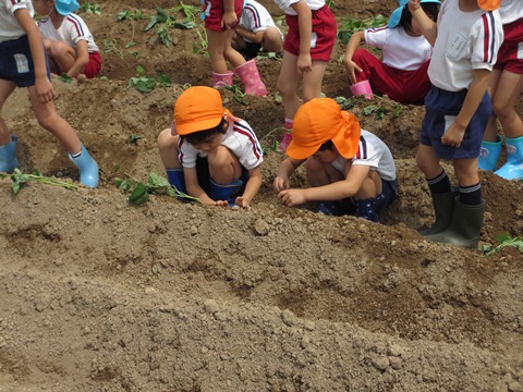 IMG_2384.jpg