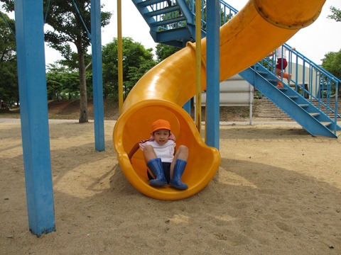 IMG_2426.jpg