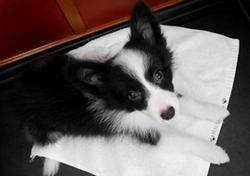 20140814095506bbb.jpg