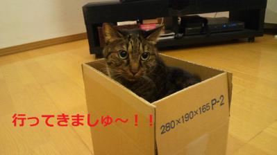 カリちゃん！