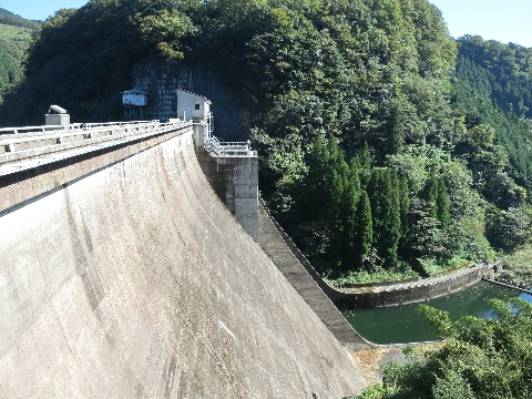 BIMG_4135.jpg