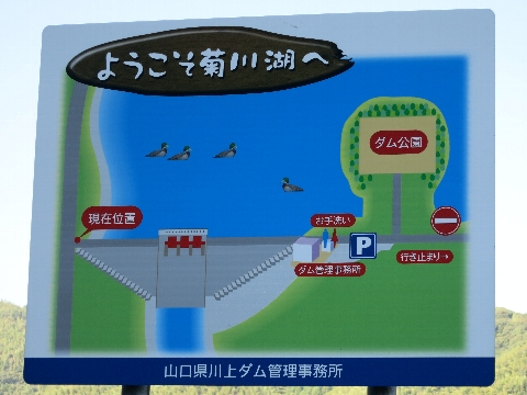 BIMG_4170.jpg
