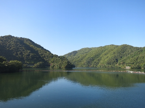 BIMG_4178.jpg