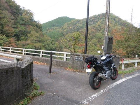 BIMG_4260.jpg