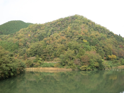 BIMG_4271.jpg