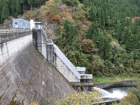 BIMG_4367.jpg