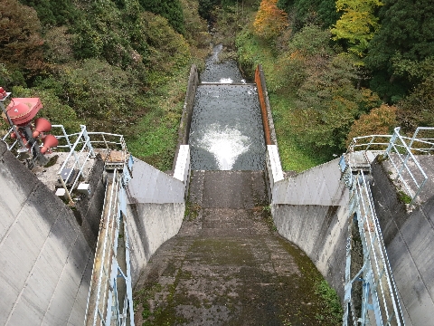 BIMG_4370.jpg
