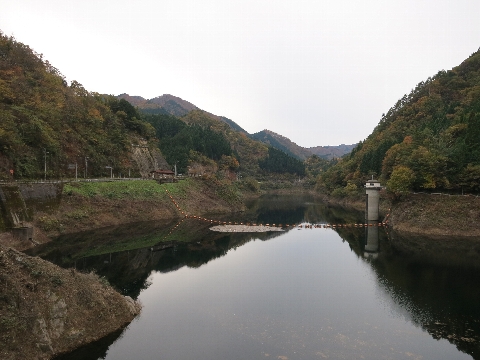 BIMG_4373.jpg
