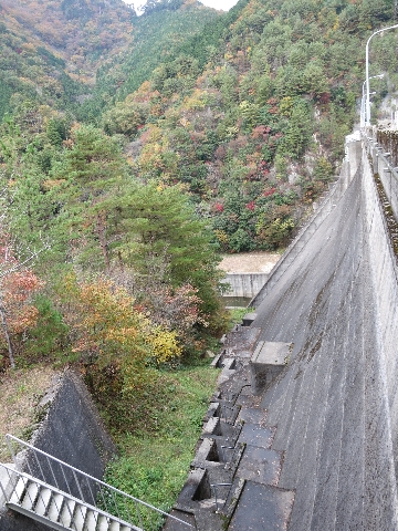 BIMG_4386.jpg
