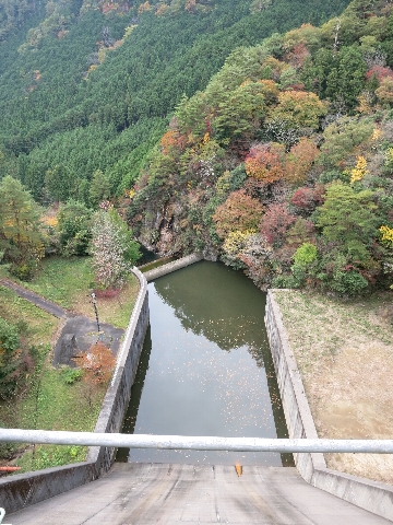 BIMG_4393.jpg