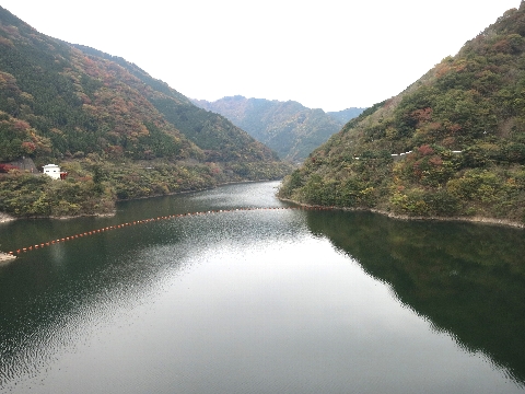 BIMG_4401.jpg