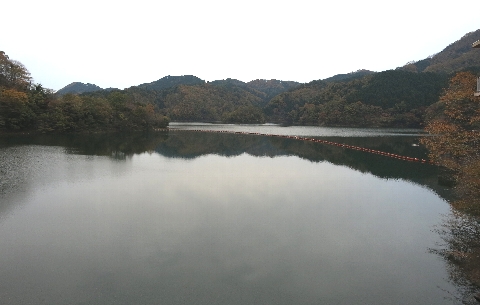 BIMG_4431.jpg
