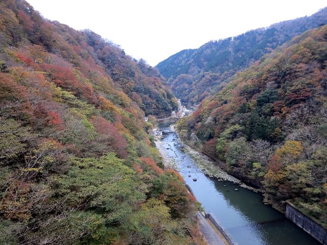 BIMG_4432.jpg