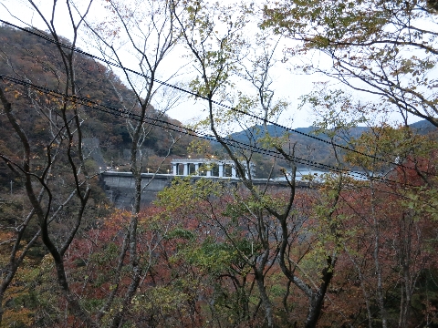 BIMG_4439.jpg